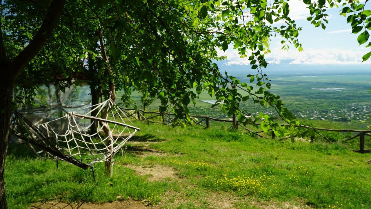 Tsanava's cottage in Sighnaghi Esterno foto
