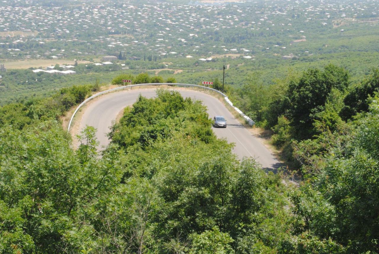 Tsanava's cottage in Sighnaghi Esterno foto